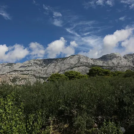 Viola Appartement Tučepi